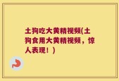 土狗吃大黄精视频(土狗食用大黄精视频，惊人表现！)