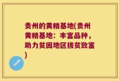 贵州的黄精基地(贵州黄精基地：丰富品种，助力贫困地区拔贫致富)