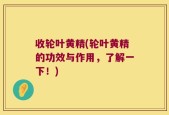 收轮叶黄精(轮叶黄精的功效与作用，了解一下！)