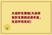 大连野生黄精(大连现有野生黄精资源丰富，生态环境良好)