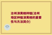 沧州滇黄精种植(沧州地区种植滇黄精的重要性与方法简介)