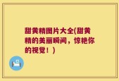 甜黄精图片大全(甜黄精的美丽瞬间，惊艳你的视觉！)