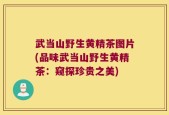 武当山野生黄精茶图片(品味武当山野生黄精茶：窥探珍贵之美)