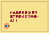 什么是黄精玉竹(黄精玉竹的特点和功效是什么？)