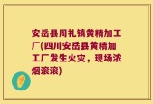 安岳县周礼镇黄精加工厂(四川安岳县黄精加工厂发生火灾，现场浓烟滚滚)