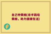 自己种黄精(亲手栽培黄精，助力健康生活)