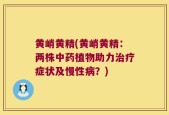 黄峭黄精(黄峭黄精：两株中药植物助力治疗症状及慢性病？)