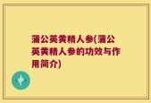 蒲公英黄精人参(蒲公英黄精人参的功效与作用简介)