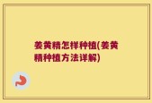 姜黄精怎样种植(姜黄精种植方法详解)