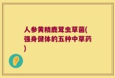 人参黄精鹿茸虫草菌(强身健体的五种中草药)