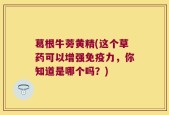 葛根牛蒡黄精(这个草药可以增强免疫力，你知道是哪个吗？)