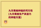九华黄精种植的可行性(九华黄精生产具潜力的种植方案)