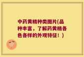 中药黄精种类图片(品种丰富，了解药黄精各色各样的外观特征！)