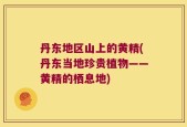 丹东地区山上的黄精(丹东当地珍贵植物——黄精的栖息地)