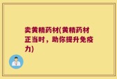卖黄精药材(黄精药材正当时，助你提升免疫力)
