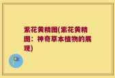 紫花黄精图(紫花黄精图：神奇草本植物的展现)