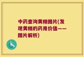 中药查询黄精图片(发现黄精的药用价值——图片解析)