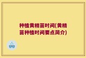 种植黄精苗时间(黄精苗种植时间要点简介)