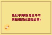 兔丝子黄精(兔丝子与黄精相遇的温馨故事)
