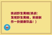 挑战野生黄精(挑战：发现野生黄精，采摘制作一份健康饮品！)