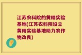 江苏农科院的黄精实验基地(江苏农科院设立黄精实验基地助力农作物改良)
