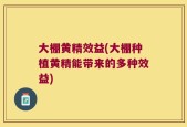 大棚黄精效益(大棚种植黄精能带来的多种效益)