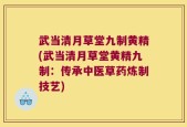 武当清月草堂九制黄精(武当清月草堂黄精九制：传承中医草药炼制技艺)