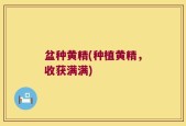 盆种黄精(种植黄精，收获满满)