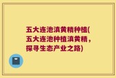 五大连池滇黄精种植(五大连池种植滇黄精，探寻生态产业之路)