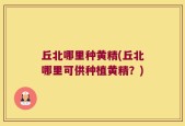 丘北哪里种黄精(丘北哪里可供种植黄精？)