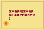 玉米地黄精(玉米地黄精：草本中的营养之宝)