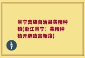 景宁畲族自治县黄精种植(浙江景宁：黄精种植开辟致富新路)