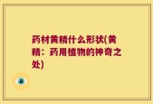药材黄精什么形状(黄精：药用植物的神奇之处)