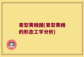 姜型黄精图(姜型黄精的形态工学分析)