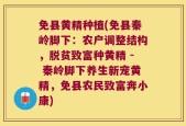 免县黄精种植(免县秦岭脚下：农户调整结构，脱贫致富种黄精 - 秦岭脚下养生新宠黄精，免县农民致富奔小康)