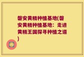 磐安黄精种植基地(磐安黄精种植基地：走进黄精王国探寻种植之道)