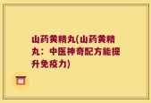 山药黄精丸(山药黄精丸：中医神奇配方能提升免疫力)