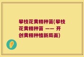 攀枝花黄精种苗(攀枝花黄精种苗 —— 开创黄精种植新局面)