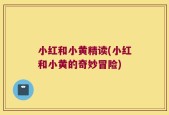 小红和小黄精读(小红和小黄的奇妙冒险)