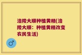 涪陵大顺种植黄精(涪陵大顺：种植黄精改变农民生活)