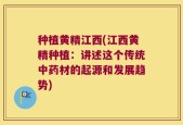 种植黄精江西(江西黄精种植：讲述这个传统中药材的起源和发展趋势)