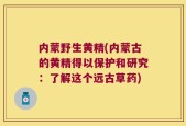 内蒙野生黄精(内蒙古的黄精得以保护和研究：了解这个远古草药)