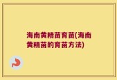 海南黄精苗育苗(海南黄精苗的育苗方法)