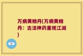 万病黄精丹(万病黄精丹：古法神药重现江湖)