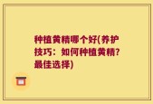 种植黄精哪个好(养护技巧：如何种植黄精？最佳选择)