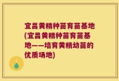 宜昌黄精种苗育苗基地(宜昌黄精种苗育苗基地——培育黄精幼苗的优质场地)