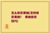 怎么修剪黄精(怎样修剪黄精？  黄精修剪技巧)