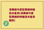 滇黄精与姜型黄精种植技术差异(滇黄精与姜型黄精的种植技术差异解析)