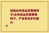 湖南永州深山挖黄精种子(永州深山挖掘黄精种子，产业带动乡村振兴