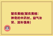 聚农黄精(聚农黄精：神奇的中药材，益气补肾、滋补强身)